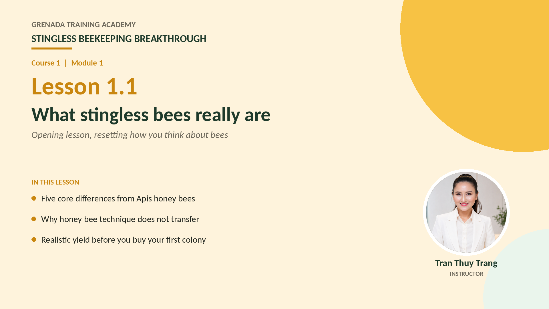 Course 1 - Stingless Beekeeping Breakthrough, Philippine Edition