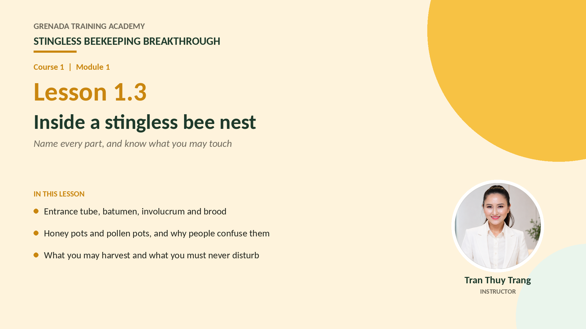Course 1 - Stingless Beekeeping Breakthrough, Philippine Edition