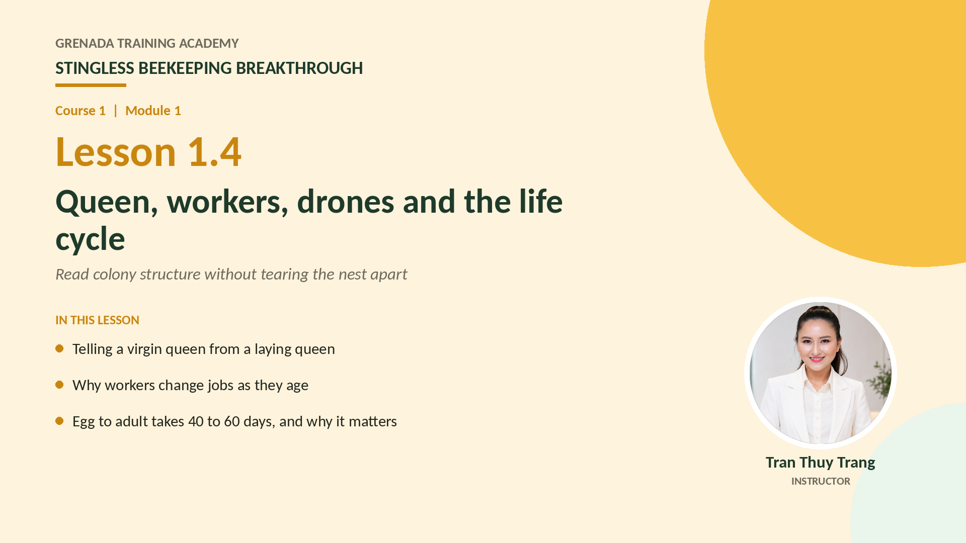 Course 1 - Stingless Beekeeping Breakthrough, Philippine Edition