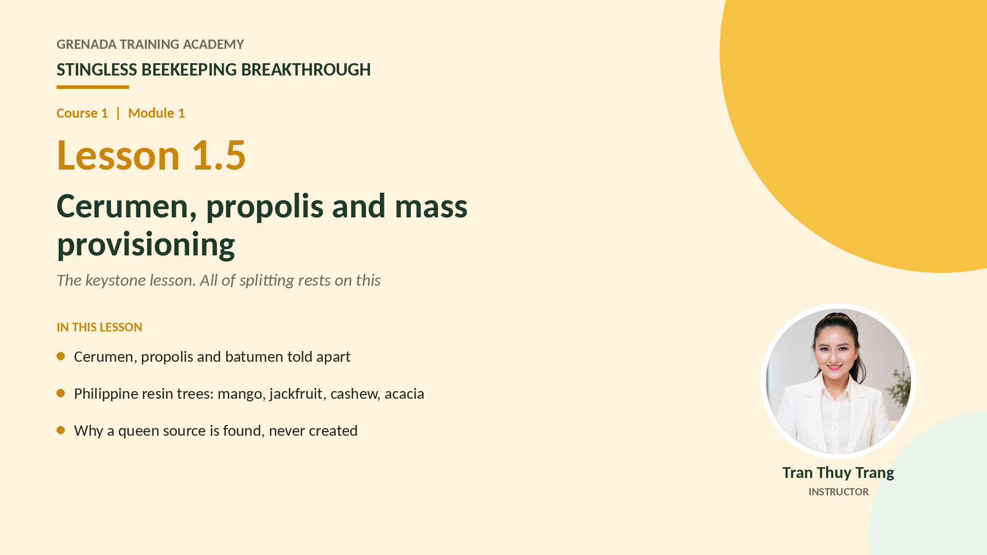 Course 1 - Stingless Beekeeping Breakthrough, Philippine Edition