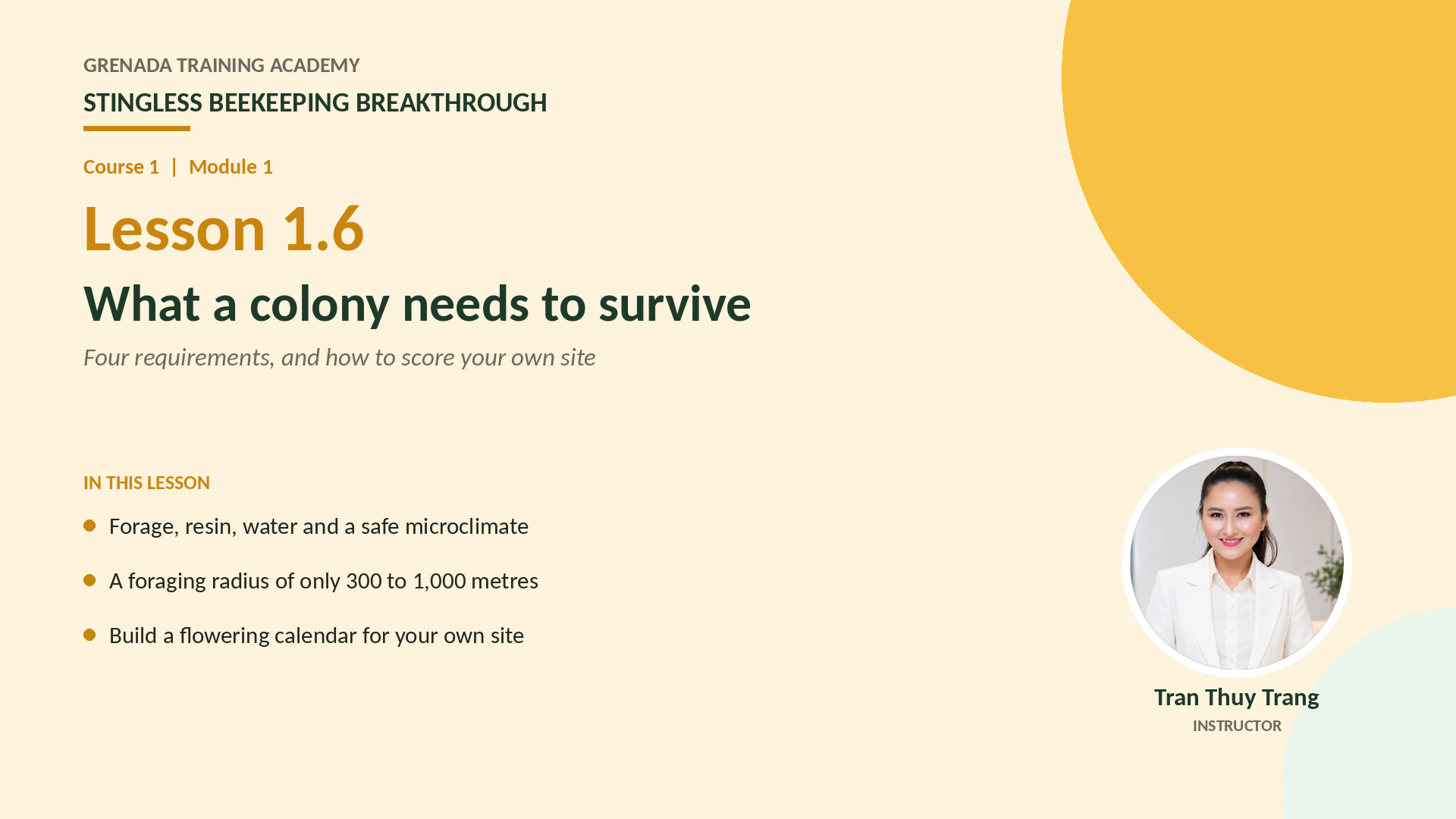 Course 1 - Stingless Beekeeping Breakthrough, Philippine Edition