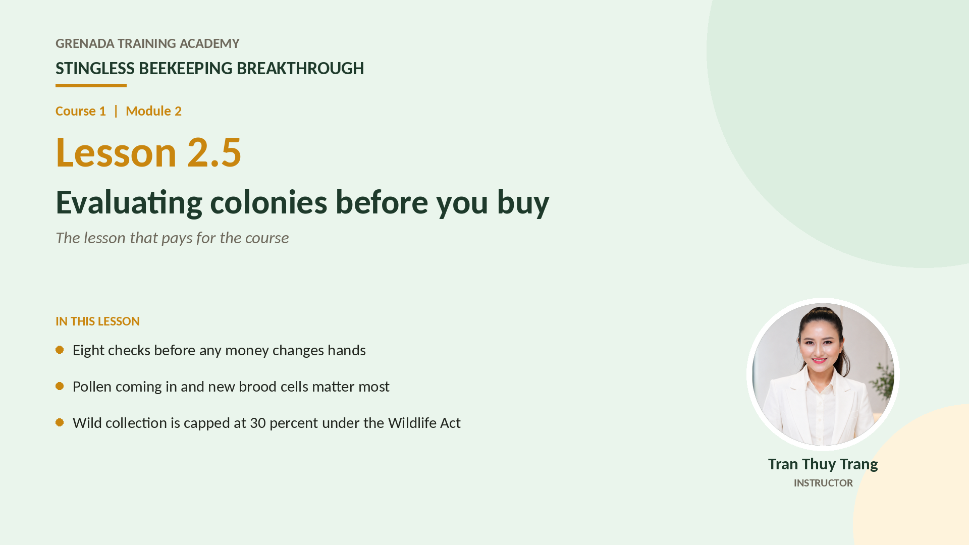 Course 1 - Stingless Beekeeping Breakthrough, Philippine Edition