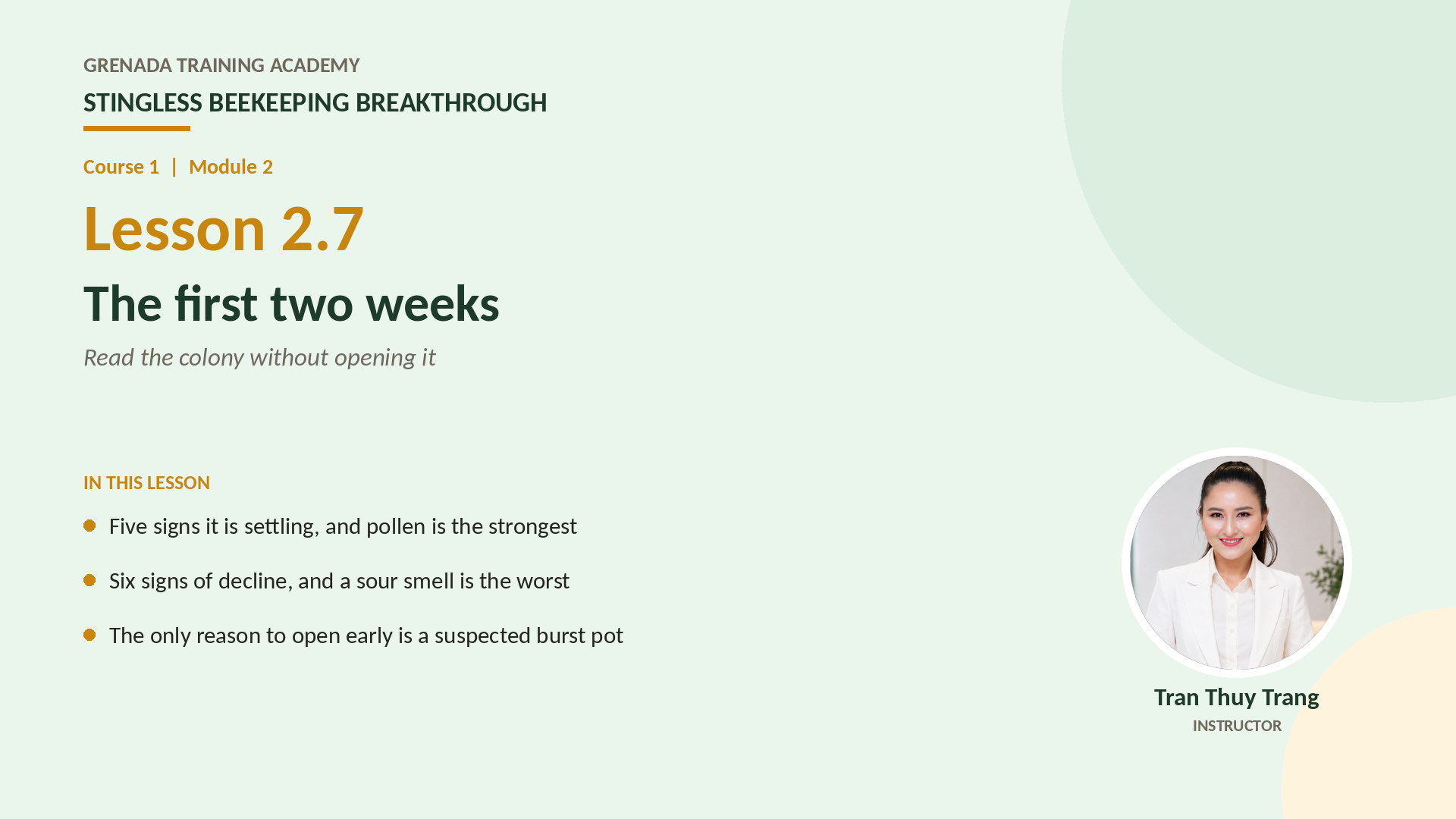 Course 1 - Stingless Beekeeping Breakthrough, Philippine Edition