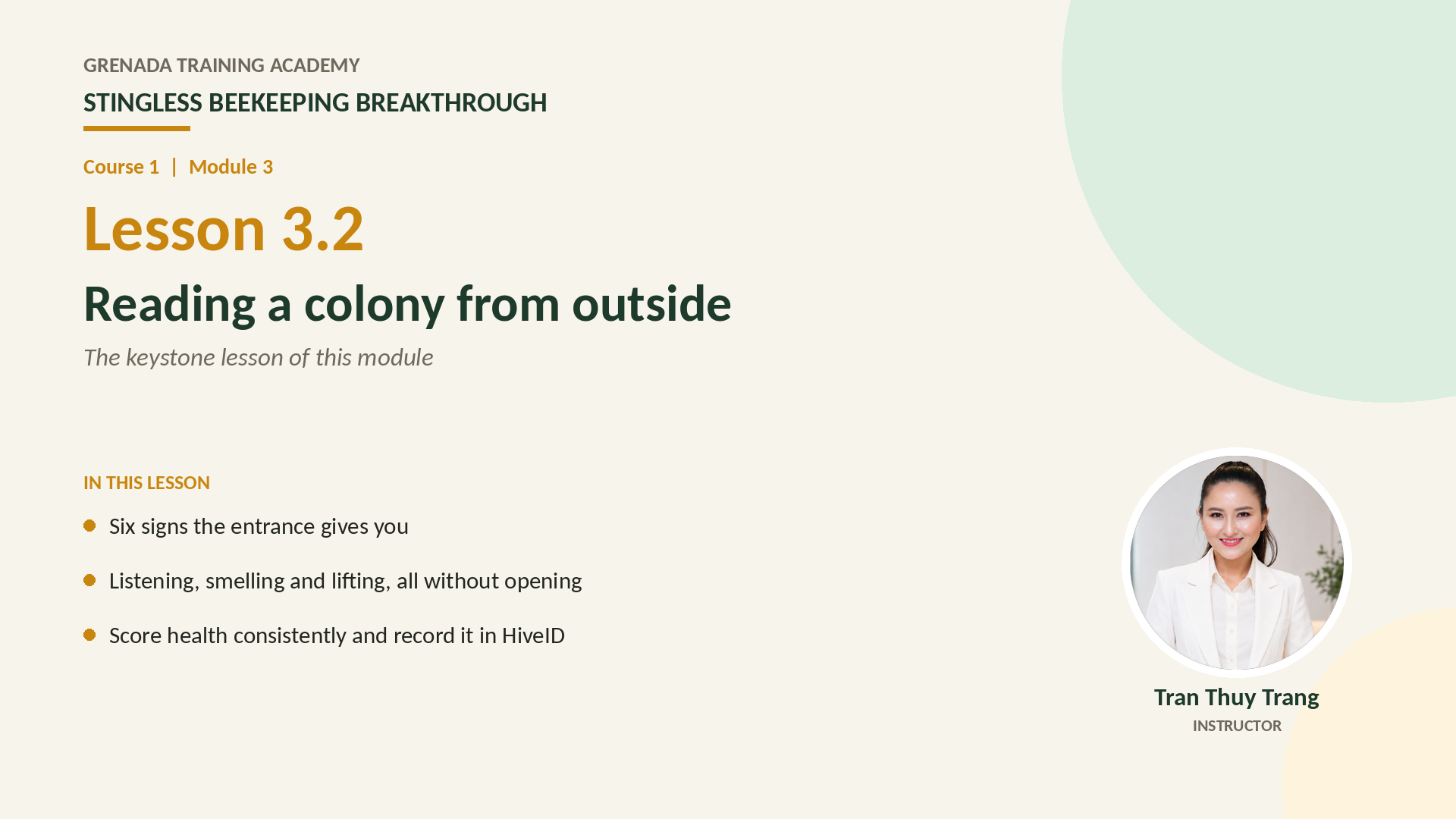 Course 1 - Stingless Beekeeping Breakthrough, Philippine Edition