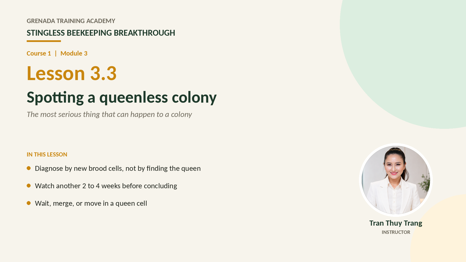 Course 1 - Stingless Beekeeping Breakthrough, Philippine Edition