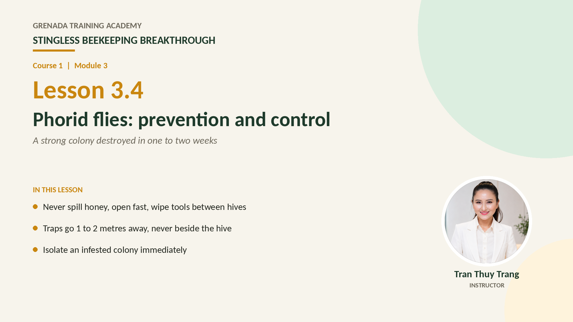 Course 1 - Stingless Beekeeping Breakthrough, Philippine Edition