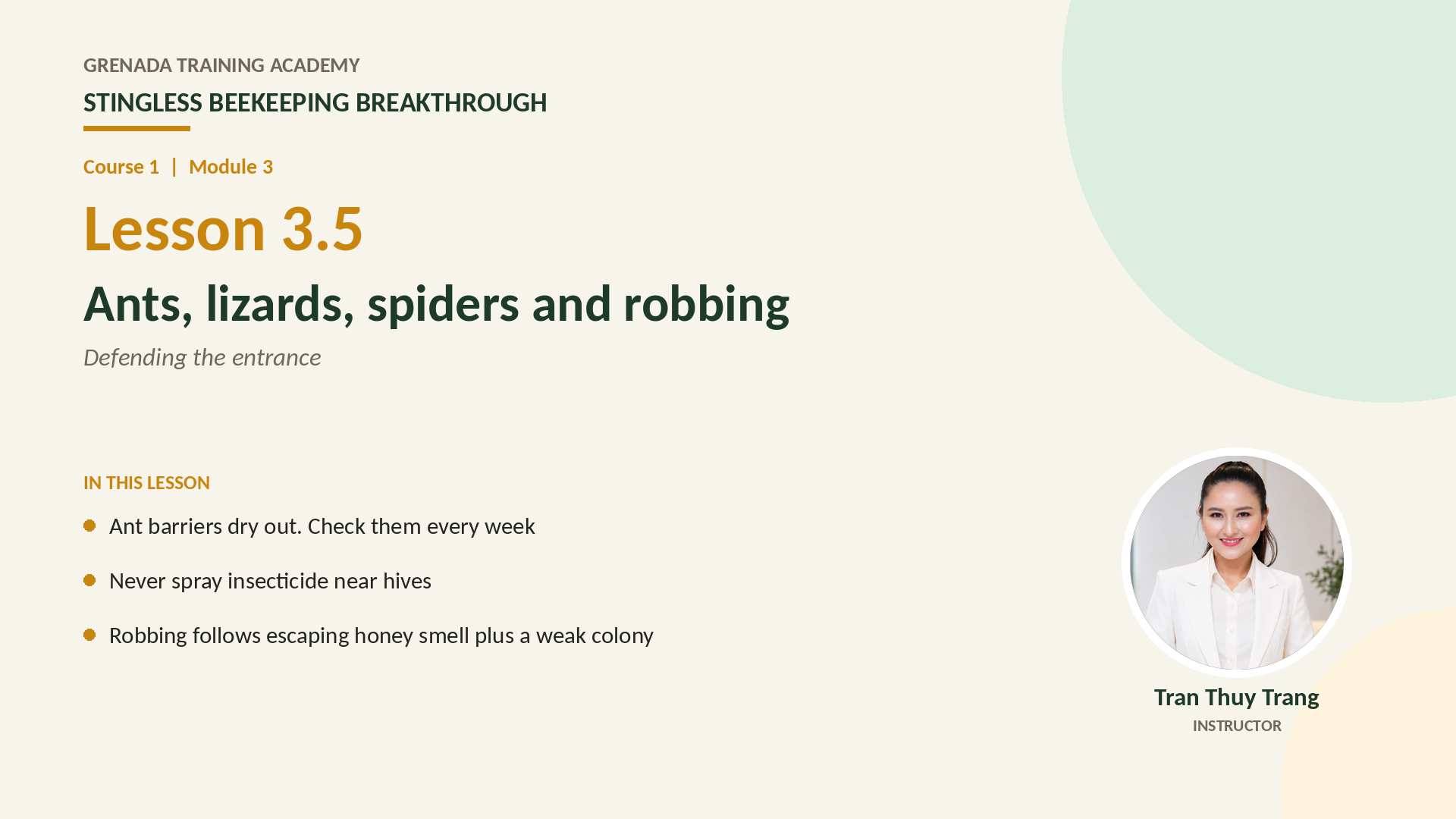 Course 1 - Stingless Beekeeping Breakthrough, Philippine Edition