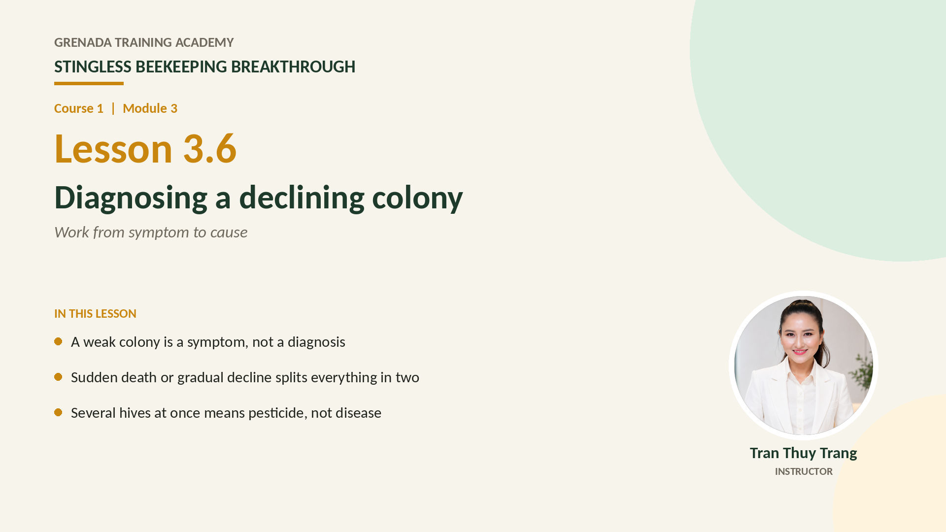 Course 1 - Stingless Beekeeping Breakthrough, Philippine Edition