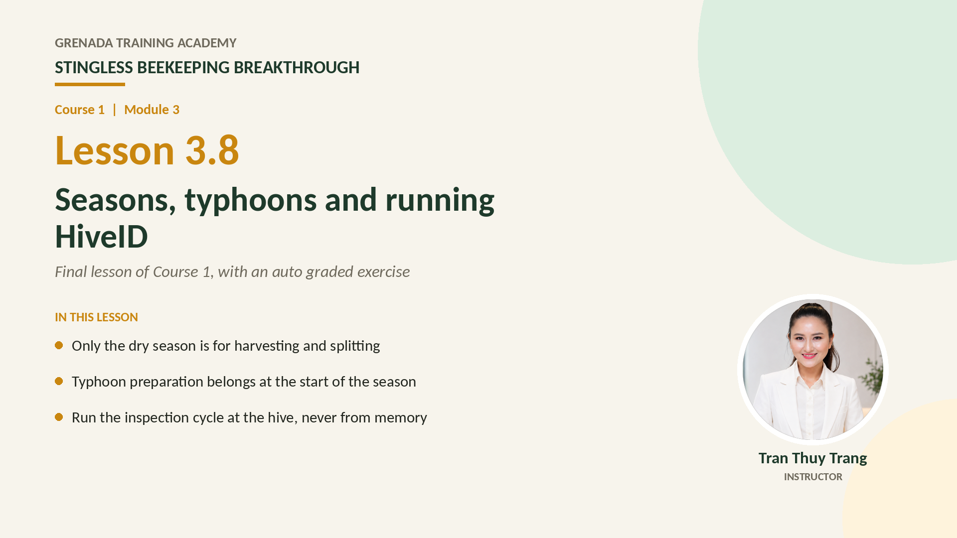 Course 1 - Stingless Beekeeping Breakthrough, Philippine Edition