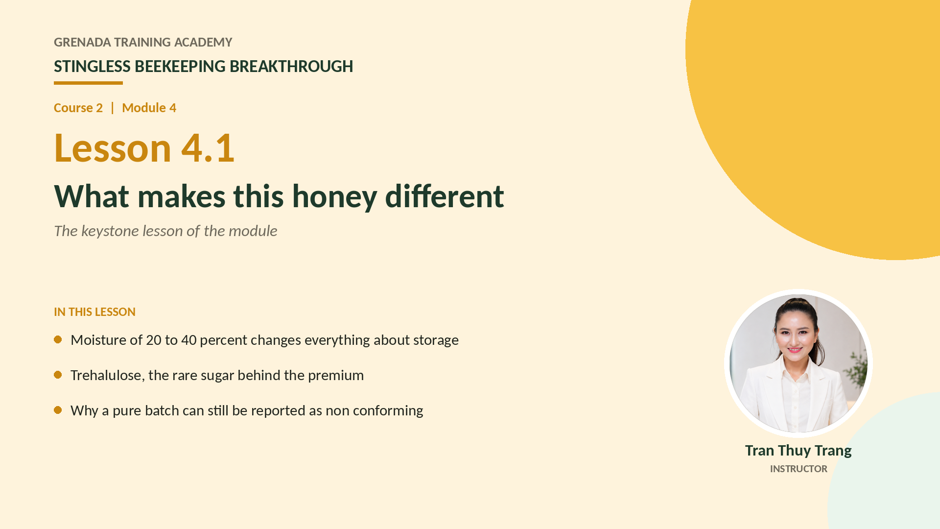 Course 2: Stingless Beekeeping Breakthrough, Philippine Edition: More Honey — More Colonies — Grow the Farm