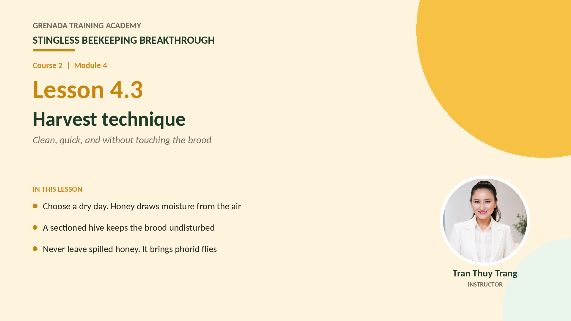 Course 2: Stingless Beekeeping Breakthrough, Philippine Edition: More Honey — More Colonies — Grow the Farm
