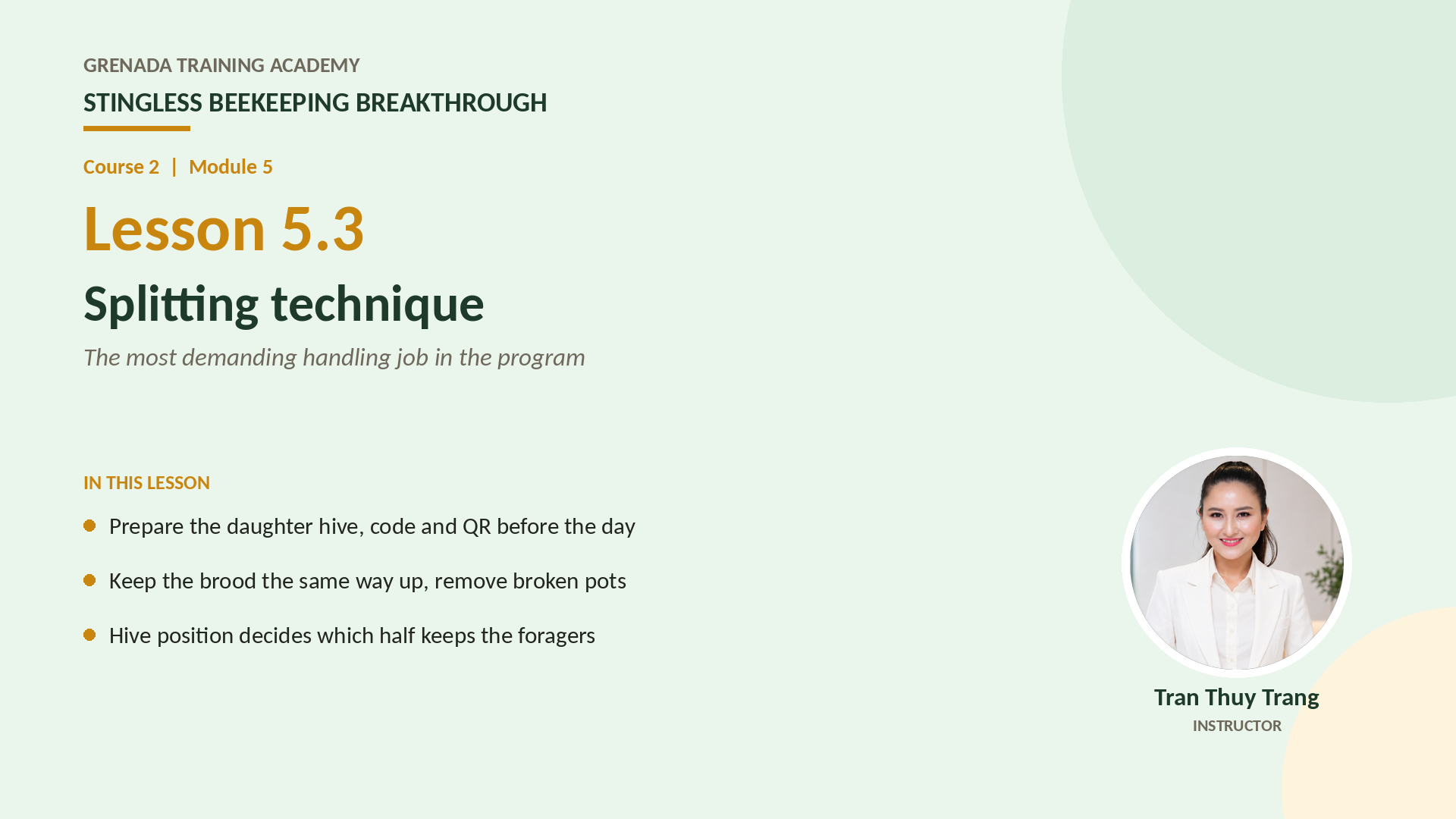 Course 2: Stingless Beekeeping Breakthrough, Philippine Edition: More Honey — More Colonies — Grow the Farm