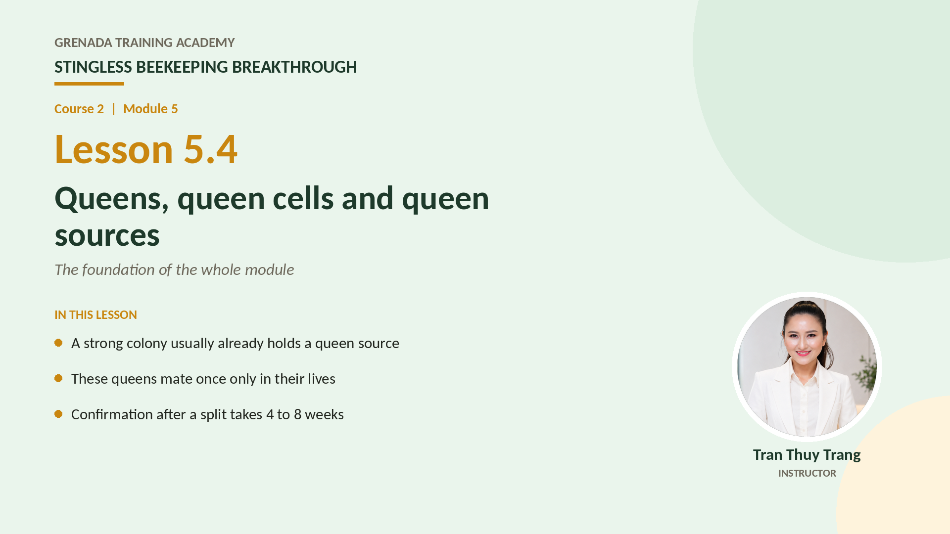 Course 2: Stingless Beekeeping Breakthrough, Philippine Edition: More Honey — More Colonies — Grow the Farm