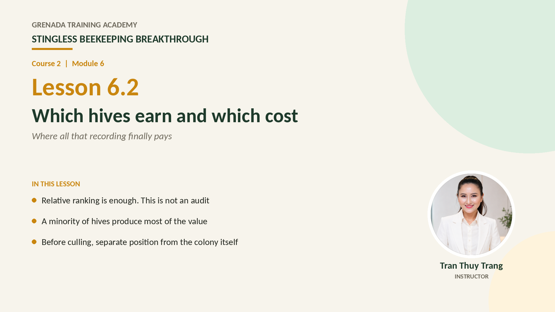 Course 2: Stingless Beekeeping Breakthrough, Philippine Edition: More Honey — More Colonies — Grow the Farm